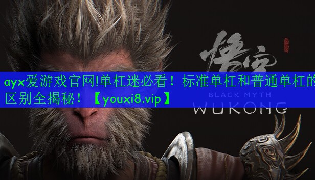 ayx爱游戏官网!单杠迷必看！标准单杠和普通单杠的区别全揭秘！
