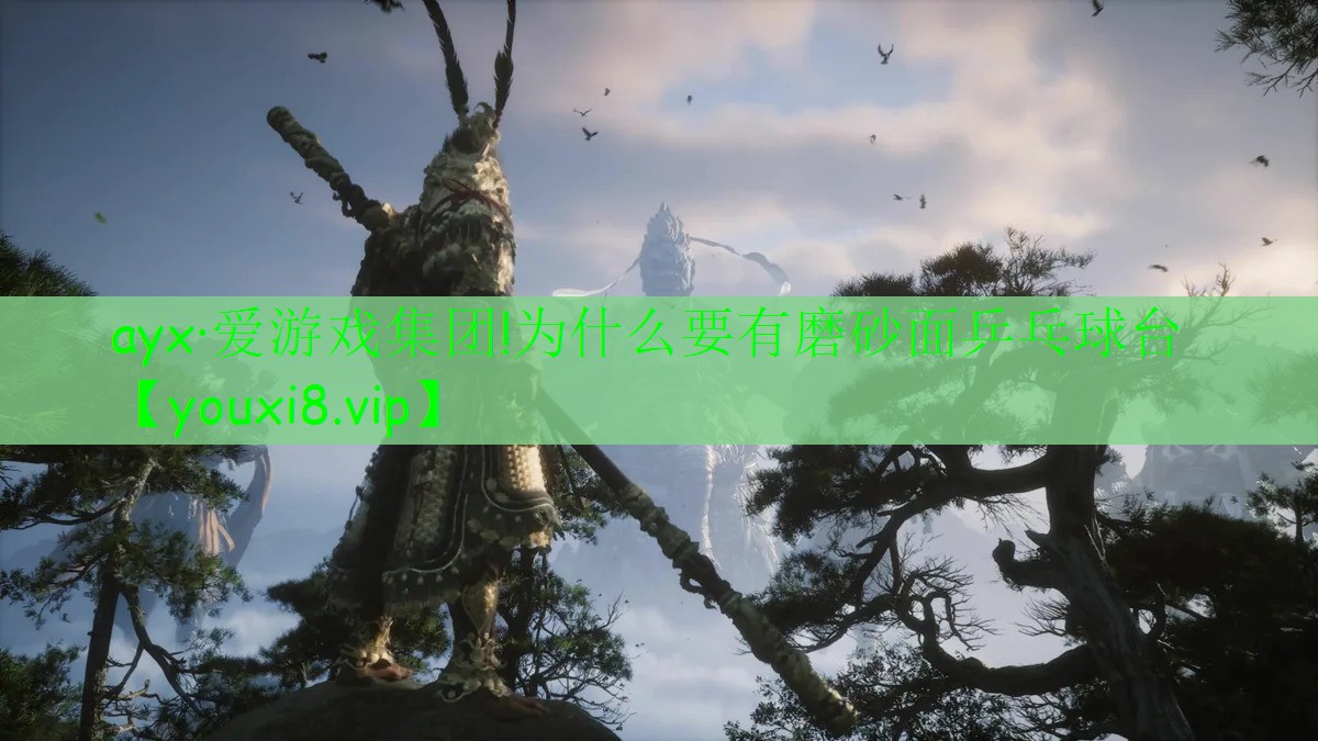 ayx·爱游戏集团!为什么要有磨砂面乒乓球台