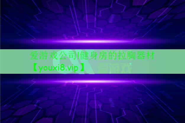 爱游戏公司!健身房的拉胸器材