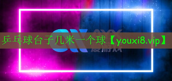 乒乓球台子几米一个球