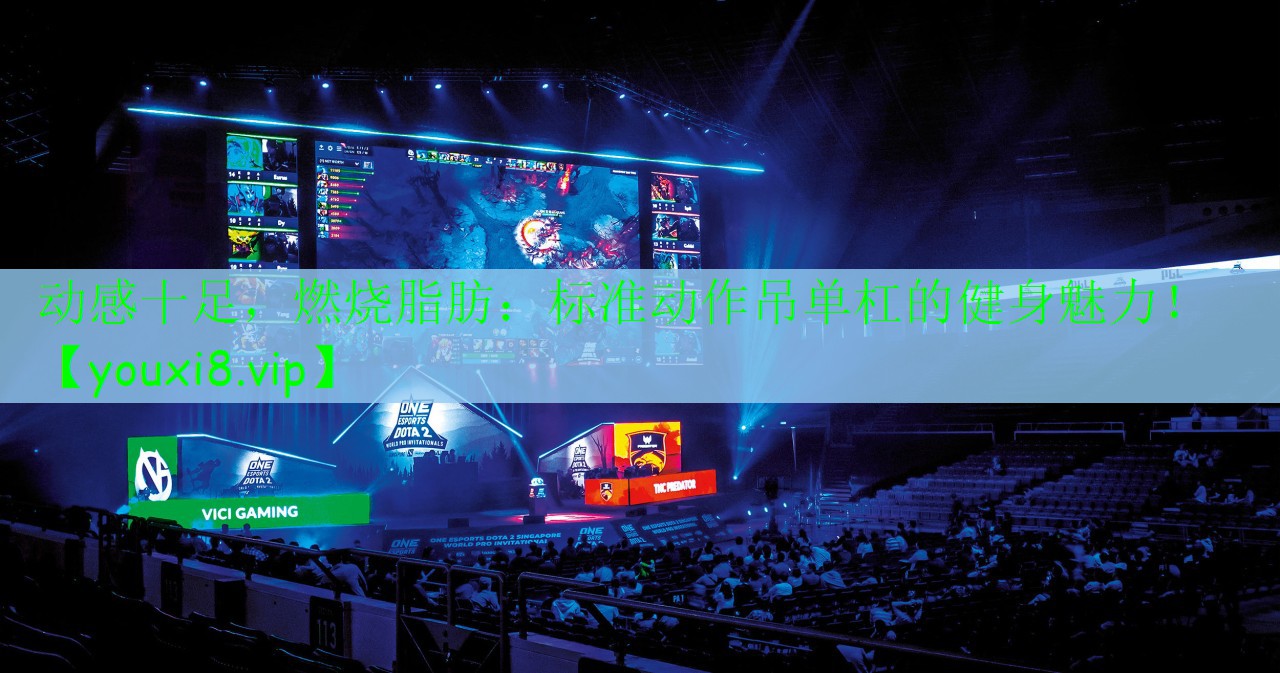 动感十足，燃烧脂肪：标准动作吊单杠的健身魅力！