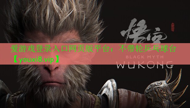 不带轮乒乓球台 不带轮乒乓球台