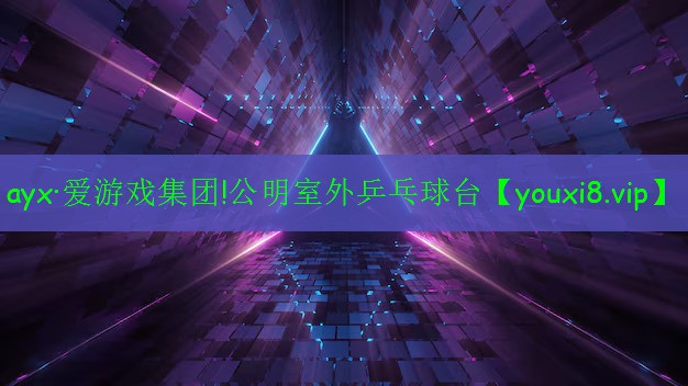 公明室外乒乓球台 公明室外乒乓球台