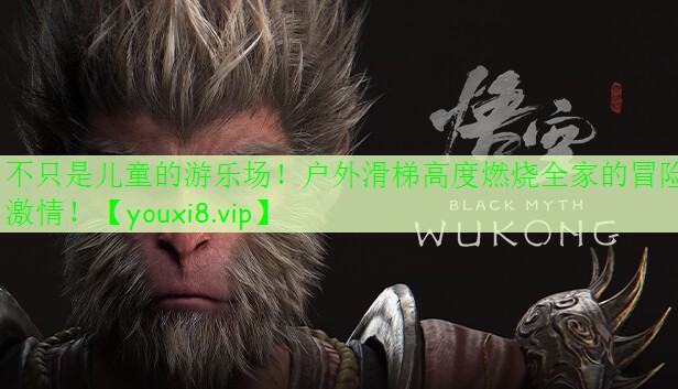 不只是儿童的游乐场!户外滑梯高度燃烧全家的冒险激情! 不只是儿童的游乐场!户外滑梯高度燃烧全家的冒险激情!
