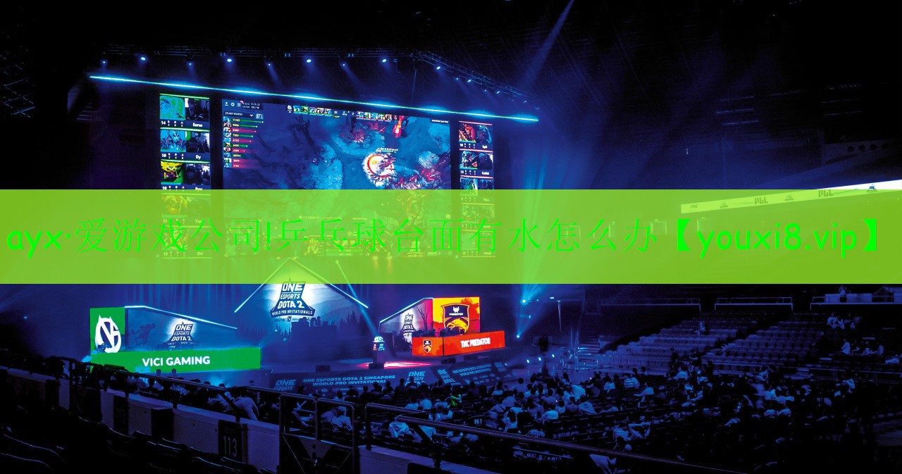 乒乓球台面有水怎么办 乒乓球台面有水怎么办