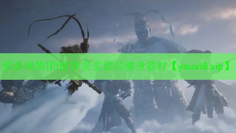 健身房里面的健身器材 健身房里面的健身器材