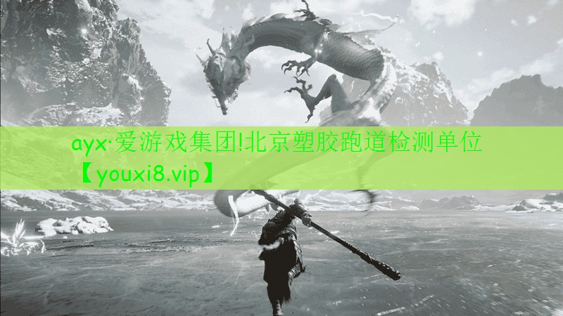 北京塑胶跑道检测单位 北京塑胶跑道检测单位