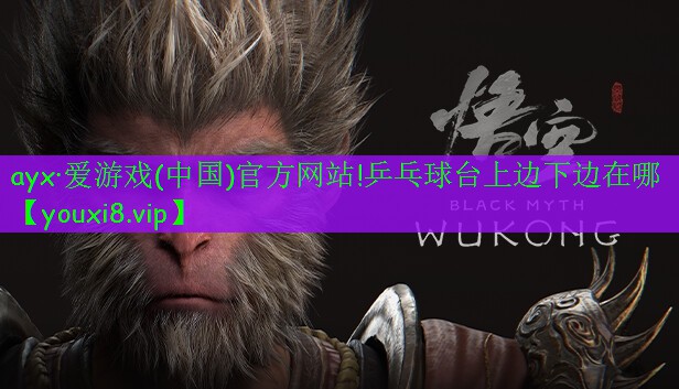 乒乓球台上边下边在哪 乒乓球台上边下边在哪